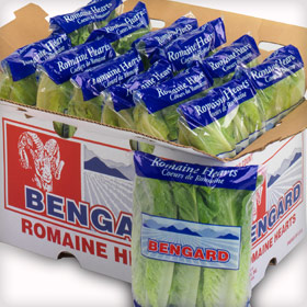 Bengard Products